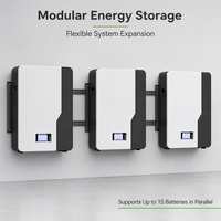 Système de stockage d'énergie domestique mural Nevo Solar 5KWH 10Kwh, batterie au lithium LiFePO4 48V 51.2V 100Ah 200Ah