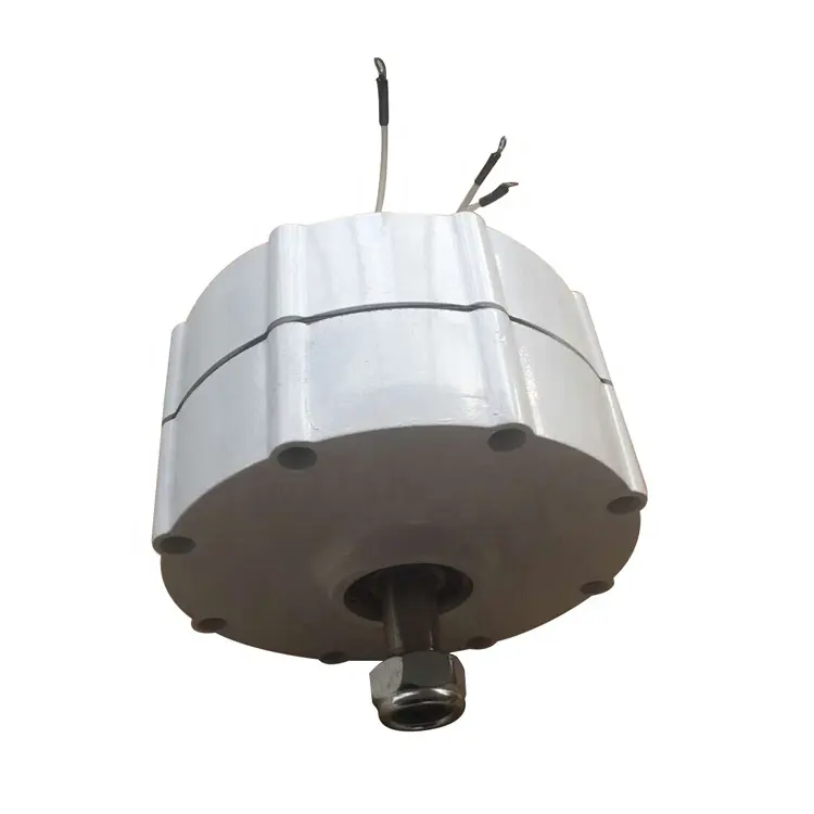 Düşük RPM düşük tork 100W 200W 300W 400W 500 W 600w kalıcı mıknatıslı jeneratör de denilen dinamo 12v 24v