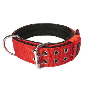 Hot Selling 2 Zoll strap azier fähiges Nylon gewebe Double Pin Buckle Hunde halsband mit Griff und weichem Neopren gepolstertem Futter - Product Image 6