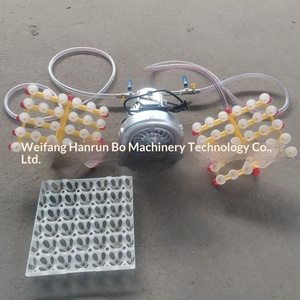 Nuova Macchina per la Codifica Sottovuoto delle Uova 220V, Macchina per la Cottura Sottovuoto delle Uova Compatibile con Incubatrici per Uova, Macchinari per l'Allevamento di Bestiame - Product Image 3