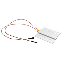 Más Popular termostático OEM 220V 110V o DV12V PTC calefacción placa para huevo incubadora