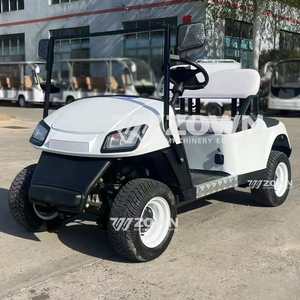 Carrito de Golf Eléctrico de 2 Pasajeros Directo de Fábrica, Buggy de Golf Multisitio, Vehículo de Transporte Turístico para Sitios Turísticos y Resorts, Venta al Por Mayor - Product Image 1