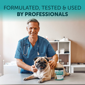 Probiotiques de marque privée OEM <span class=keywords><strong>pour</strong></span> chiens-Santé digestive <span class=keywords><strong>et</strong></span> allergies saisonnières Suppléments de soins de santé <span class=keywords><strong>pour</strong></span> animaux de compagnie à mâcher - Product Image 5