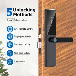 कस्टम थोक बहुमुखी वाईफाई रिमोट फिंगरप्रिंट अनलॉक लॉक उन्नत स्मार्ट डोर हैंडल लॉक उन्नत स्मार्ट डोर हैंडल लॉक - Product Image 2