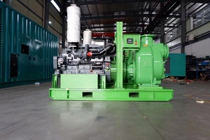 2' 3' 4" 6" 8" 10" משאבת דלק דיזל משאבת פריים יבשה בסיוע עצמי - Product Image 4