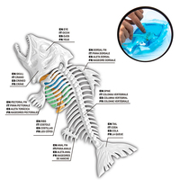Dissectible chauve-souris lézard Piranha grenouille modèles jouet éducatif anatomie pour enfants Science apprentissage biologie enseignement cadeau interactif