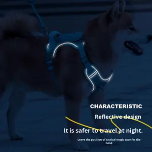 Vente d'usine nouveau <span class=keywords><strong>harnais</strong></span> de <span class=keywords><strong>chien</strong></span> de Style gilet réfléchissant solide forte <span class=keywords><strong>Anti</strong></span> Explosion <span class=keywords><strong>Anti</strong></span> perte laisse pour animaux de compagnie - Product Image 4