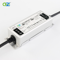 Controlador LED Zetoo de 50W IP66 con Garantía de 5 Años, Control de Tiempo y Atenuación, Salida Única, Carcasa de Aluminio para Alumbrado Público Exterior