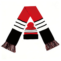 Hot Sale Custom Jacquard Stricks chal Team Name Club Fan Schal für Fußball-und Fußballfans