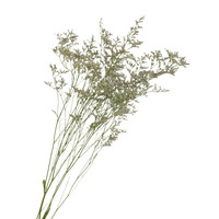 AX-20 Natürlich Getrocknete Limonium-Blume Liebhabergras Caspium Dekorativer Strauß Muttertag 19,6 Zoll
