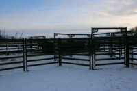 Premium 6 Rail Ganado Paneles Valla Caballo Oveja Stockyard Corral Panel Patio Esgrima Enrejado Puertas