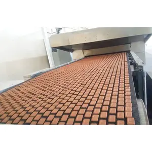 Linea di produzione a macchina per biscotti al glucosio completamente automatica sinobaking