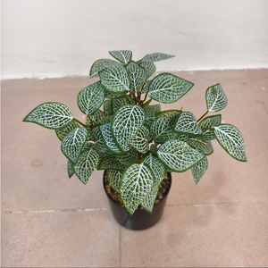Plante verte artificielle à <span class=keywords><strong>tige</strong></span> unique, feuille <span class=keywords><strong>de</strong></span> <span class=keywords><strong>laurier</strong></span> à 5 branches avec veines en maille, décoration paysagère - Product Image 3