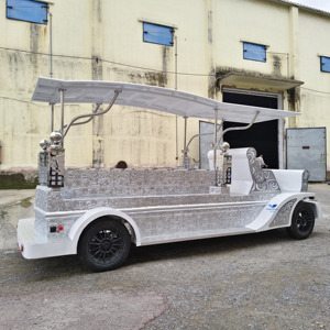 Cercueil électrique spécial pour transport funéraire / Cercueil électrique personnalisé à prix réduit / Carrosse funéraire à vendre - Product Image 4