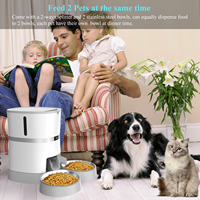 Bol d'eau automatique pour chaton, lait, minuteur automatique, fontaine lente pour animal de compagnie, ensemble, distributeur de nourriture pour chiots et chats