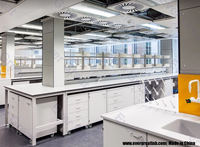 Meubles de laboratoire en acier avec armoires pour les laboratoires de chimie/physique des écoles et universités, usage en atelier hospitalier