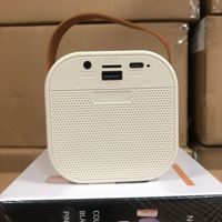 Micrófono Portátil con Batería Integrada, Máquina de Karaoke Familiar para Cantar en Casa, Altavoz Inalámbrico BT V4.0 para Exteriores con Pantalla