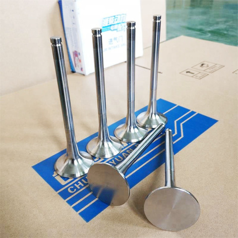 CYPOWER Supply Spare Parts WEICHAI 170 Marine Boat Ship Diesel Engine Air Intake Inlet Valve 170Z.03.05A for Sale