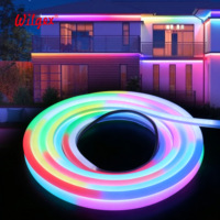 Cordon néon LED brillant D13mm, 320 °   Angle de faisceau, sortie uniforme sans points, économe en énergie, remplacement idéal