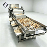 Machine à broyer les céréales de qualité alimentaire industrielle avec système de pulvérisation électrique pour usine de transformation alimentaire