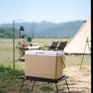 <span class=keywords><strong>16</strong></span> <span class=keywords><strong>Qt</strong></span> 26 Có Thể Công Suất Ngoài Trời Cắm Trại Du Lịch Tủ Đông Bia Xô Cấp Thực Phẩm PP Ngực Mát Hộp Di Động Mát Với Xử Lý - Product Image 5