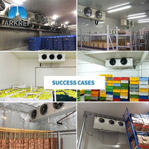 <span class=keywords><strong>Nuovo</strong></span> Miglior Raffreddatore d'Aria Evaporativo per Celle Frigorifere e Magazzini Refrigerati - Product Image 4