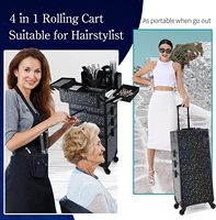 Valise de maquillage professionnelle 4 en 1 en aluminium, grande capacité, avec roulettes amovibles à 360° pour coiffeuse