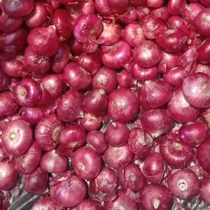 Cebollas Rojas más vendidas Verduras frescas y envasadas para exportación Cebollas Rojas frescas naturales al por mayor - Product Image 4