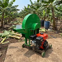 Broyeur Électrique 220V pour Bananiers et Plantains, Machine à Broyer, Pétrir et Couper les Tiges pour Usage Domestique et Agricole