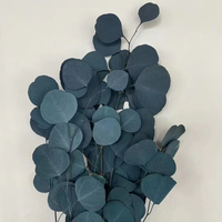 Feuilles d'eucalyptus conservées de haute qualité feuilles de pomme vraies fleurs pour décor de mariage et arrangement floral