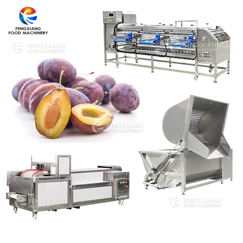 CE Large capacity plum pitting machine /cherry pitter /fruit stoner machine