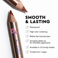 Pensil Lip Liner Cokelat Krim Vegan Label Pribadi Logo Kustom 12 Warna Tahan Air Tahan Lama Pigmentasi Tinggi Hasil Matte