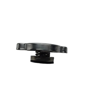 Cubiertas de radiador de alta calidad al por mayor 25330-17000 2533017000 para EQUUS/CENTENNIAL 25330 17000 - Product Image 4
