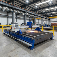 Machine de découpe plasma CNC à portique rapide pour tôles d'acier avec équipement de découpe à l'arc plasma 200 ampères