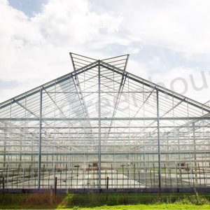 Architecture personnalisée Serre de grande portée Bâtiment de centre de jardinage Projets agricoles Recherche sur la plantation de légumes et de fleurs - Product Image 1