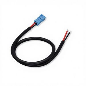 Оптовая продажа: Индивидуальный автомобильный жгут проводов 6925628-01, 16-22AWG, медный, ПВХ, 2-жильный провод - Product Image 1