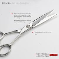 Kit de ciseaux de coiffure CNC 5.5 pouces, ensemble de ciseaux de coiffeur, ciseaux à effiler avec Premium Japan VG10 Steel Tijeras