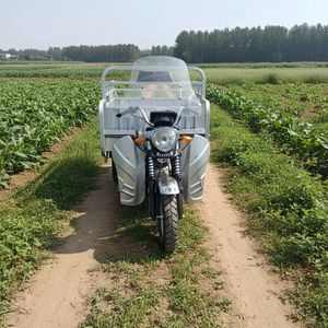 Motocicleta Triciclo de Carga de 3 Ruedas con Carroza Lateral, 1000W, 110cc, de Gasolina, para <span class=keywords><strong>Transporte</strong></span> de Mercancías, Venta al Por Mayor - Product Image 3