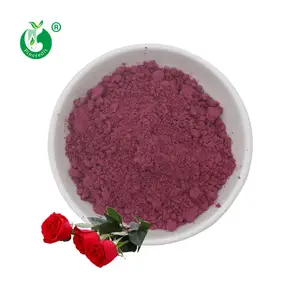 Poudre de pétale de Rose biologique, 100% naturelle, vente en gros, prix en gros