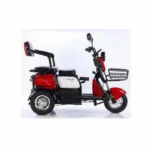 Tricycle à une vitesse 3020, 2 places, passager adulte, électrique, pour usage familial - Product Image 1