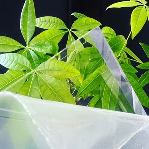 بسعر الجملة لوح Perspex شفاف 1 ma 2 ma 1.3 لوح أكريليك مصبوب - Product Image 4