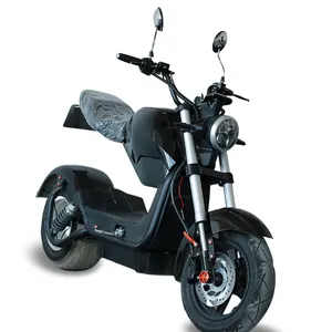 2000W 60V Fashion Off Road Sepeda Motor Listrik untuk Orang Dewasa