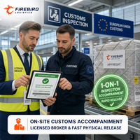 Firebird Tür-zu-Tür Erlebnis Spedition Günstigster DDP Luftfracht-Spediteur Versandagent China nach Kanada
