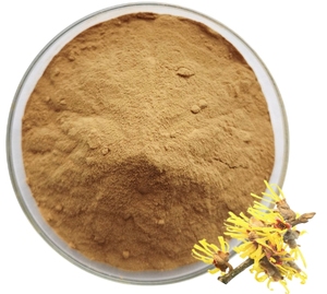 Chất lượng cao phù thủy Hazel chiết xuất hamamelis chiết xuất bột - Product Image 1