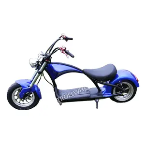 Citycoco — Scooter électrique à une roue, voiture à dérive, Scooter à grande roue, Skateboard pour divertissement, pour adulte, 2018