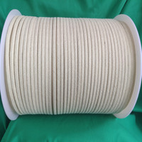 Corde statique d'escalade en aramide de 10 mm, corde de rappel ultra résistante