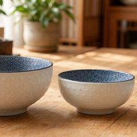 Ensemble de bols en porcelaine bleue et blanche de style chinois, bols à riz et bols à soupe en relief, pour la maison, l'hôtel et la restauration