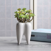 Vase en céramique en forme de dent Pots de jardinière succulente Pot de fleur Conteneur de stylo