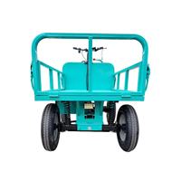 Carro eléctrico de almacenamiento de plataforma de acero personalizable OEM para transporte de jardín herramientas industriales embalaje de verduras de cuatro ruedas