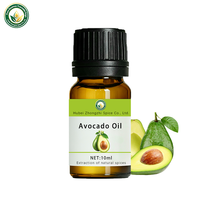 Huile d'avocat 100% biologique raffinée, huile de support riche en vitamines A, D, E, K, vente en gros pour une hydratation intense des soins de la peau et des cosmétiques